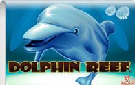 Dolphin Reef Logga